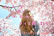 SAKURAの画像(いきものがかり sakuraに関連した画像)