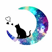 月と黒猫の画像9点 完全無料画像検索のプリ画像 Bygmo