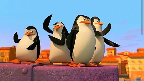 penguinsの画像 プリ画像