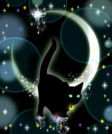 幻想的 月 黒猫の画像12点 完全無料画像検索のプリ画像 Bygmo