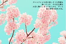 桜の季節 プリ画像