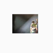 岩田剛典高畑充希植物図鑑の画像(岩田剛典高畑充希植物図鑑に関連した画像)