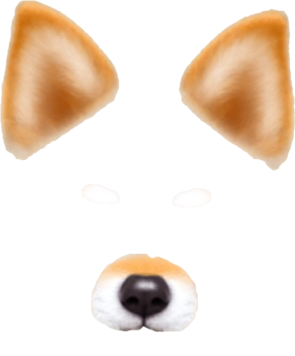 Snowの犬 完全無料画像検索のプリ画像 Bygmo