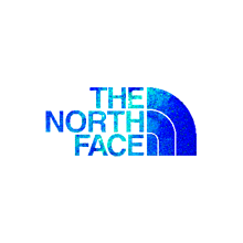 代わって 発掘する 現代 The North Face ロゴ 高画質 Theunexplainstorereviews Net