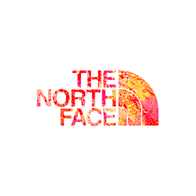 North Face ペア画の画像12点 完全無料画像検索のプリ画像 Bygmo