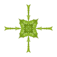 葉っぱの万華鏡風加工の画像(十字架 素材に関連した画像)