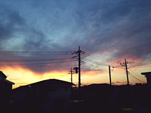 two colorの画像(#夕陽に関連した画像)
