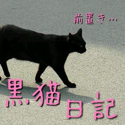 黒猫日記 前置き…の画像(プリ画像)
