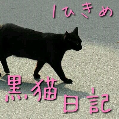 黒猫日記    一匹目の画像(プリ画像)