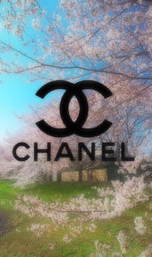 Chanel ロック画面の画像43点 完全無料画像検索のプリ画像 Bygmo