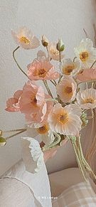 花 おしゃれ 韓国 壁紙の画像(壁紙 花に関連した画像)