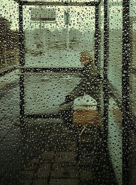 雨の画像(プリ画像)