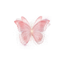 アイコン　かわいい　白　ピンクの画像(,ピンク,に関連した画像)