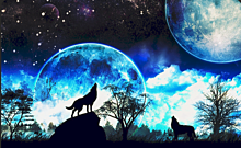 月と狼の画像(狼に関連した画像)