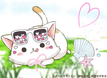 猫のおしゃれ夏の画像(おしゃれ夏に関連した画像)
