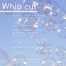 1st ALBUM UNIT Whip cutの画像(STに関連した画像)
