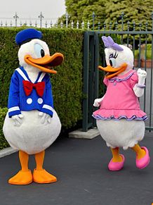 Donald&Daisyの画像(東京ディズニーランドに関連した画像)