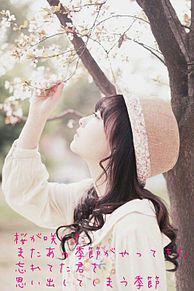 桜/春/失恋の画像(桜/春/失恋に関連した画像)