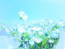 ナチュラル 花の画像377点 完全無料画像検索のプリ画像 Bygmo