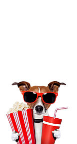 壁紙 素材 Iphone 犬の画像3点 完全無料画像検索のプリ画像 Bygmo