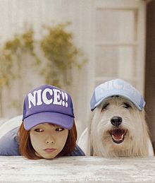 Aiko 犬の画像10点 完全無料画像検索のプリ画像 Bygmo