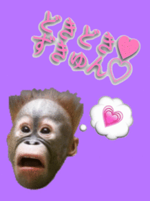 面白い 猿の画像10点 完全無料画像検索のプリ画像 Bygmo