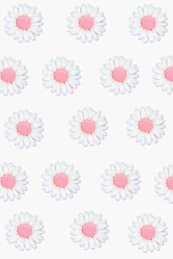 デイジー 壁紙 かわいい ピンク 花の画像12点 完全無料画像検索のプリ画像 Bygmo