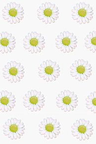 デイジー 花の画像4点 10ページ目 完全無料画像検索のプリ画像 Bygmo