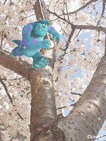 桜だぜいっ！の画像(pixarに関連した画像)