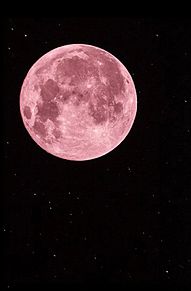 ピンクムーン 月の画像5点｜完全無料画像検索のプリ画像💓byGMO