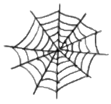 素材 蜘蛛の巣の画像18点 完全無料画像検索のプリ画像 Bygmo