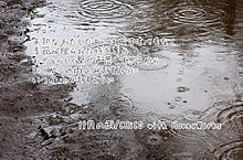 11月の雨 歌詞画の画像(チコハニに関連した画像)