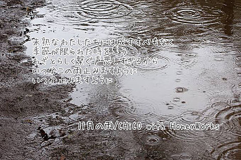 11月の雨 歌詞画の画像 プリ画像