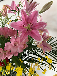母の施設のお花の画像(カサブランカに関連した画像)