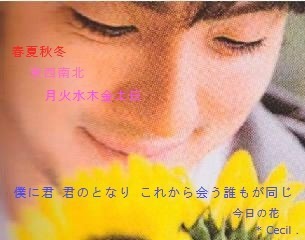 * あみさきサマリクエスト 今日の花 .の画像(プリ画像)