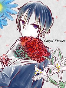 Caged Flowerの画像(ﾎﾞｶﾛ KAITOに関連した画像)