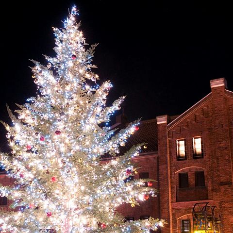 クリスマスツリー/白/ホワイト/夜景/ライト/建物の画像(プリ画像)