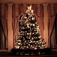 クリスマス/クリスマスツリー/キラキラ/キレイ プリ画像