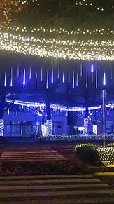 クリスマスツリーの夜景の画像(徳山駅に関連した画像)
