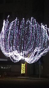クリスマスツリーの夜景の画像(徳山駅に関連した画像)