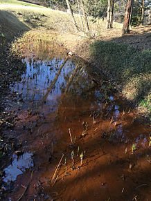 茨城県 芸術の丘 水辺 赤土の画像(茨城に関連した画像)