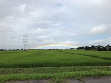 茨城県河内町 田舎 虹 レインボーの画像(茨城に関連した画像)