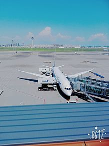 飛行機の画像(羽田空港に関連した画像)