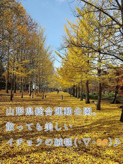 山形県総合運動公園の画像(プリ画像)
