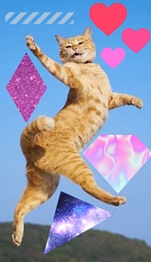 コンプリート Iphone 壁紙 かわいい 猫 100 イラスト ダウンロード