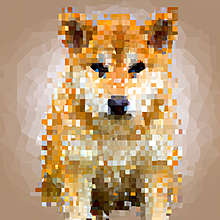 モザイクだらけの柴犬の絵🖼️の画像(#モザイクに関連した画像)