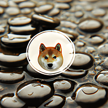 柴犬コインの絵🖼️🪙の画像(絵、に関連した画像)