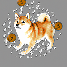 柴犬コインの絵🖼️🪙の画像(絵に関連した画像)