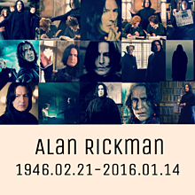 Alan Rickmanの画像(ｱﾗﾝﾘｯｸﾏﾝに関連した画像)