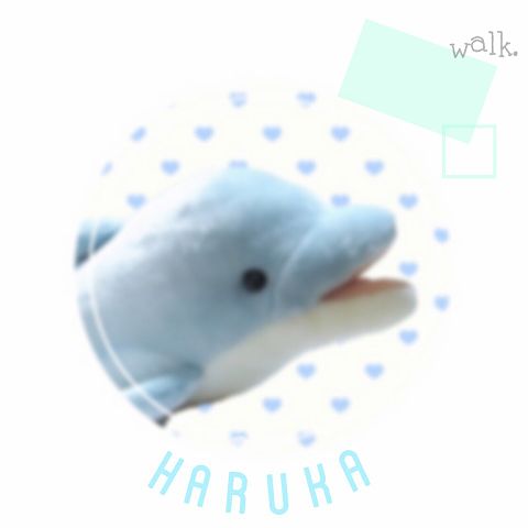 haruka .の画像 プリ画像